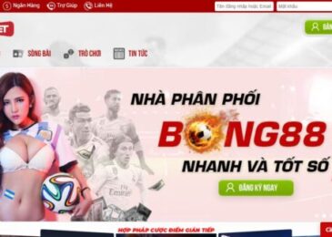 Link vào Mibet – Đăng nhập Mibet88 VIP cược bóng tức thì