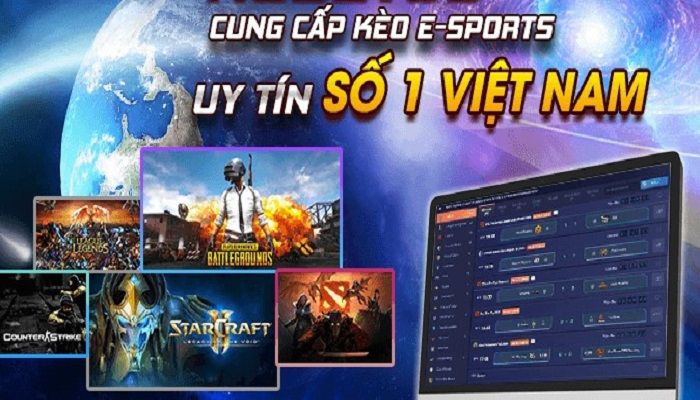 cá cược thể thao điện tử tại kubet