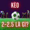 Kèo 2 2.5 là gì? Cách cược kèo tài xỉu 2-2.5 cực khét