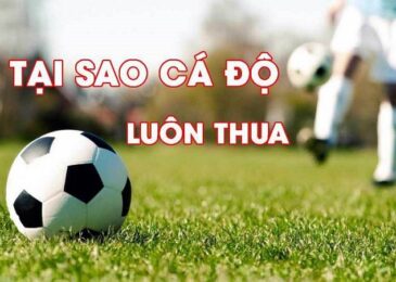 Tại sao cá độ bóng đá luôn thua? #5 Sai lầm ngu hay gặp