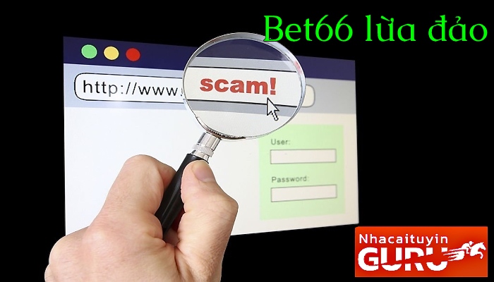 Bet66 bị tố lừa đảo