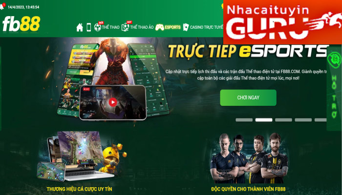 Web cược Esport uy tín