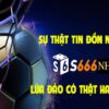 S666 lừa đảo: Sự thật về nền tảng cá cược đầy tranh cãi